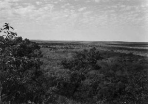 Blick auf das Pantanal : Blick von einem Tafelberg aus auf das südliche Pantanal.