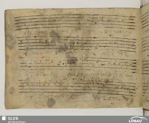 [62.] Gallus, Iacobus: Media vita