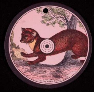 Schießscheibe Marder (Förster/Zeitz)