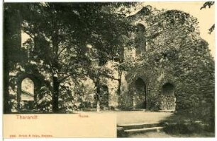Tharandt. Ruine