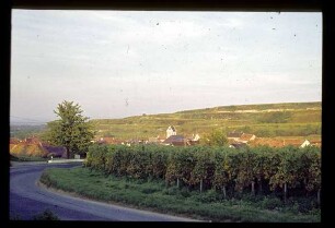 Blick auf Leiselheim