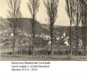 Auerbach an der Bergstraße, Panorama / im Vordergrund: Pappelallee