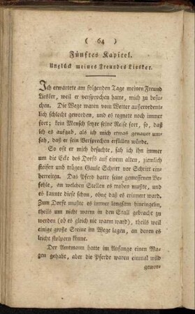 Fünftes Kapitel. Unglück meines Freundes Liesker.
