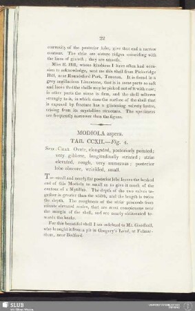 Modiola aspera. Tab. CCXII. — Fig. 4