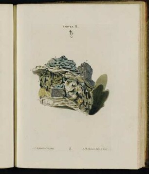 Tabula II.