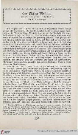 5: Im Pfälzer Westrich