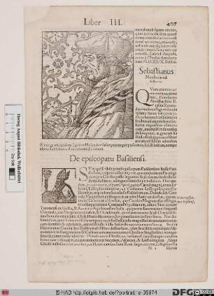 Bildnis Desiderius Erasmus, gen. Erasmus von Rotterdam