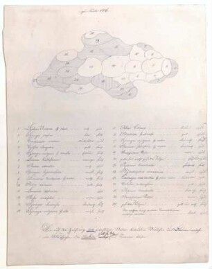 Studienblatt zu Tafel XLIII der "Andeutungen über Landschaftsgärtnerei"