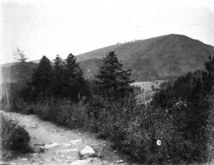 Landschaft : Landschaft am Wegesrand