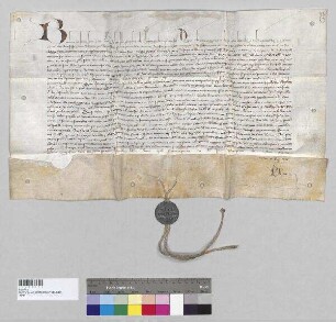 Papst Bonifaz IX. beauftragt den Propst von Herrenchiemsee dafür zu sorgen, dass Peter Pienzenauer, Kanoniker zu Augsburg, als Kanoniker zu Freising aufgenommen wird.; S: Papst Bonifaz IX.