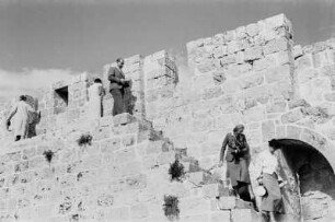 Reisefotos Orient. Jerusalem. Touristen beim Besichtigen einer Wehrmauer am Ölberg