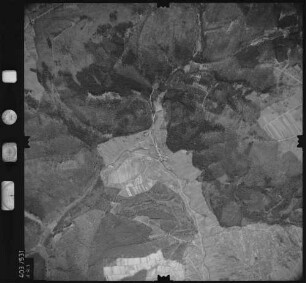 Luftbild: Film 10 Bildnr. 491