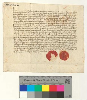 Testament des Bürgers (sartoris) Reyneke van Swalen, beglaubigt durch die Ratsmannen Hartwich van der Molen und Hermen Cruse.
