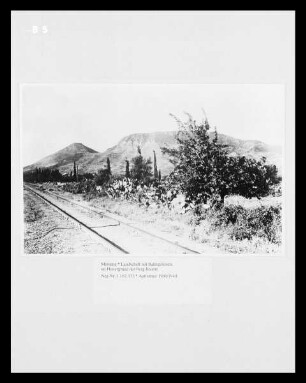 Landschaft bei Messene