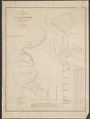 Plan über den Gemeinde-Wald von Daxlanden auf dortiger Gemarkung