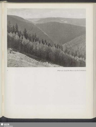 Blick vom Sattel bei Meura auf den Fröbelturm