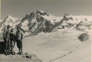 Alpenpanorama im Wallis