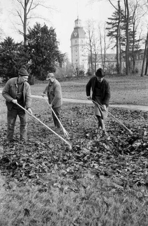 Frühjahrsputz-Aktion von Gärtnern im Schlossgarten aufgrund des frühen Frühlingseinbruchs