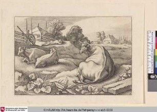 [Liegende Kühe und ein schlafender Bauer; Cows Lying Down. A Sleeping Peasant]