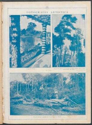 Fotografía artística