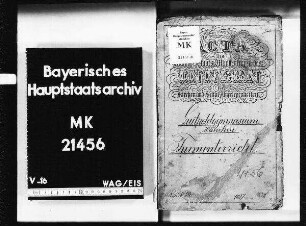 München. Luitpoldgymnasium. Turnunterricht.