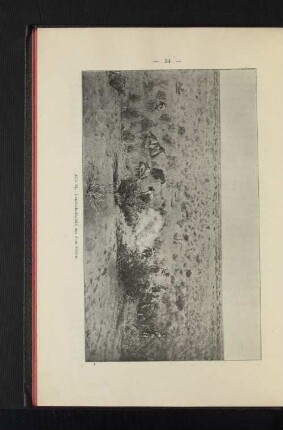 Abb. 21. Landschaftsbild aus dem Süden.
