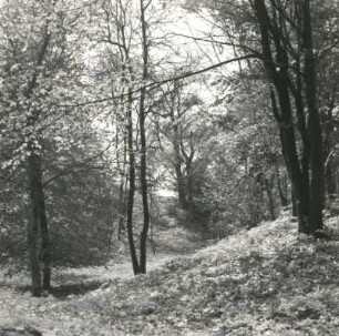 Tutow. Slawischer Burgwall