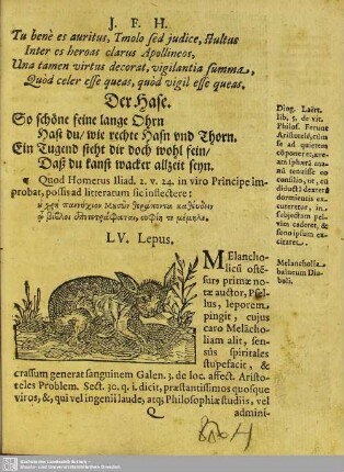 LV. Lepus