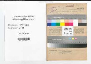 Entnazifizierung Walter Ort , geb. 21.05.1909 (Buchhalter)