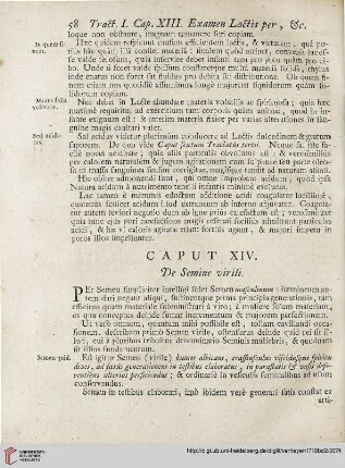 Caput XIV: De Semine virili