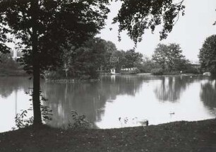 Mittweida, Schwanenteich : Mittweida. Schwanenteich von Nordwesten