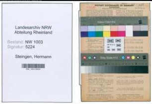 Entnazifizierung Hermann Steingen , geb. 28.05.1894 (Kaufm.Angestellter)