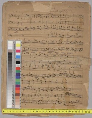 Cadenzas, pf, KV 537, D-Dur - BSB Mus.ms. 16528 : [without title]