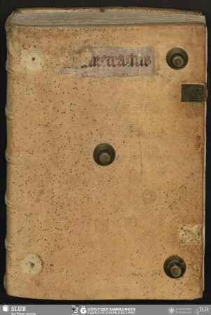 Mammotrectus super Bibliam