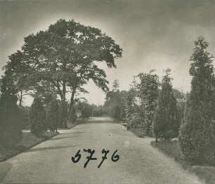 Altona-Bahrenfeld: Haupteingang, Zentralfriedhof, Hauptweg