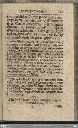 [Longus, latus, altus, crassus]