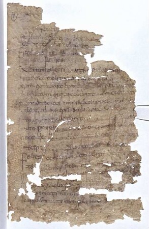 Chronicon - BSB Clm 29418(1