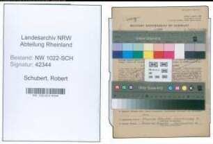 Entnazifizierung Robert Schubert , geb. 04.04.1900 (Bankangestellter)