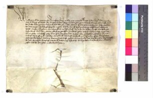 König Sigmund gebietet der Stadt Isny, an Johann von Friedingen ihre am nächsten Martinstag fällige Reichssteuer zu entrichten.