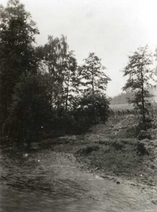 Hellendorf. Hangabriß am Ratzschbach