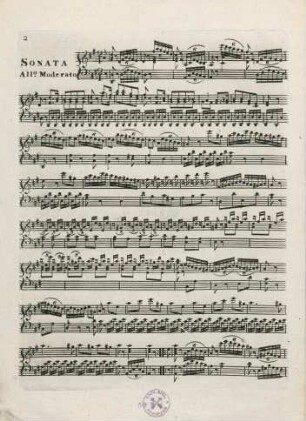 Allegro Moderato