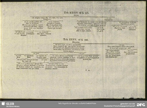 Tab. XXXIV. ad §. 536