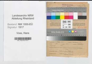 Entnazifizierung Hans Voss, geb. 05.10.1911 (Zollsekretaer)