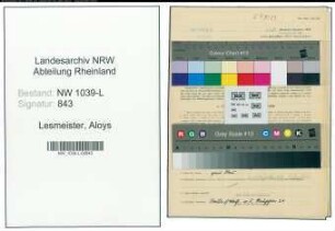Entnazifizierung Aloys Lesmeister , geb. 29.08.1899 (Monteur)