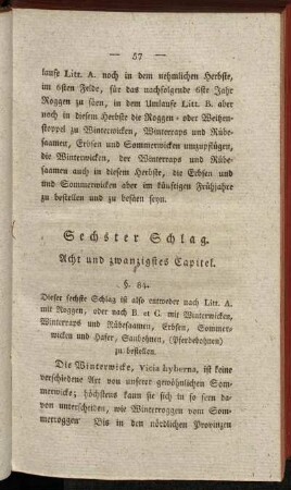 Sechster Schlag. Acht und zwanzigstes Capitel