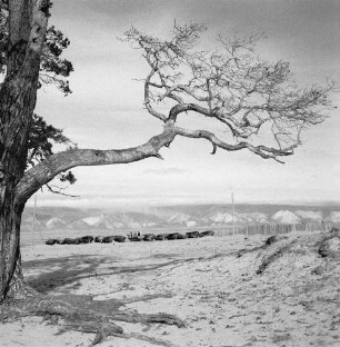 Sibirien. Landschaft am Baikalsee