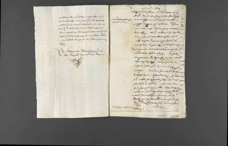 Danksagungen Herzog Wilhelms V. von Bayern für die zugeschickten Neckarweine, mit der Rücksendung von Salzlieferungen.
