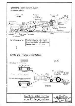 Mechanische Ernte von Einlegegurken