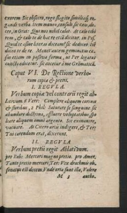 Caput VI. De Rectione verborum copiae et pretii.