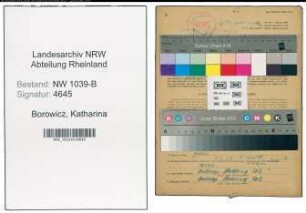 Entnazifizierung Katharina Borowicz , geb. 31.10.1908 ()